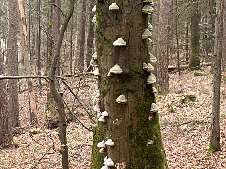 23-03-04 13-49-50 4708